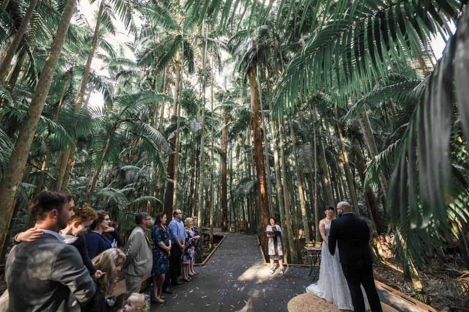 Marrying at Ocean View – The Jewel of the Moreton Bay Hinterland